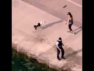 police officer rescues a drowning dog