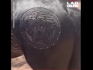 horse hairdresser creates masterpieces