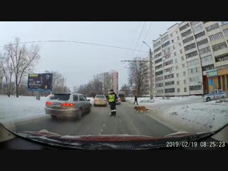 the policeman stopped the traffic for the sake of the dog