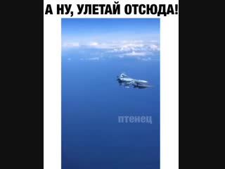 russian plane violently drove away nato fighter