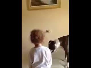 teen taught a good boy to jump on a mattress