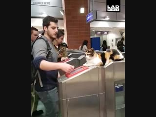 guarding the turnstiles in the subway