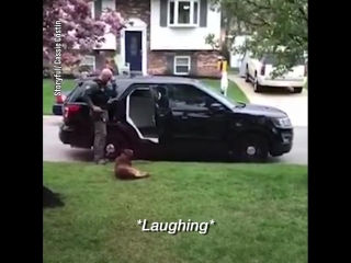 police dog (k9) refuses to go to work