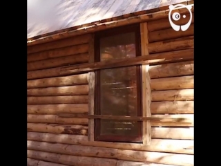 a man built his own house in the forest