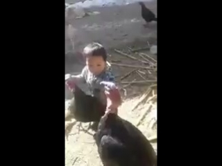 teen separates the turkeys