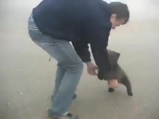 brutal attack of a bear on a man