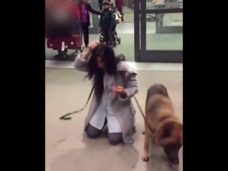 the dog met the owner at the airport