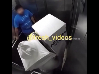 bees in the elevator