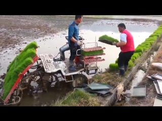 rice planting machine