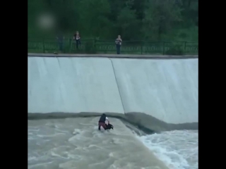 rescuing a dog from a stream