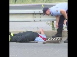 policemen rescue ducklings