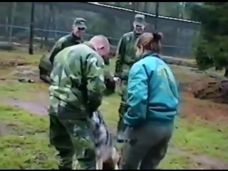 wolf trainer