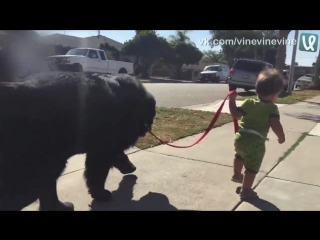 teen and dog for a walk