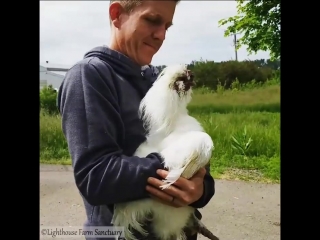 animals love hugs