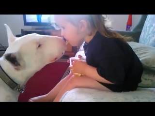 girl feeding a bull terrier