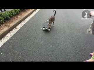 mustachioed skater