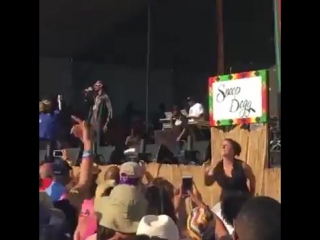 snoop dogg's performance was eclipsed by a sign language interpreter © video daddy