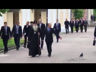 putin greeted the dove © video