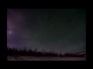 northern lights © video