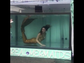 mermaid © video