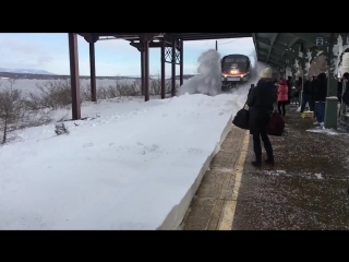 arrival of the train © video