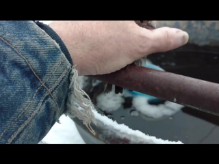 a man rescued a frozen sparrow© video